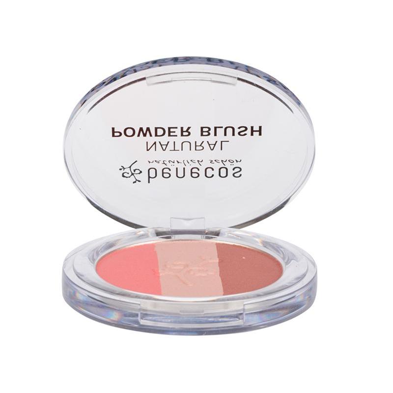 Compact blush fall in loveMake up4260198091488