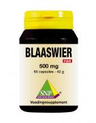 Blaaswier 500 mg puur en 250 mcg jodiumOverig gezondheidsproducten8718591420399