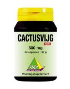 Cactusvijg 500 mg puurOverig gezondheidsproducten8718591420894