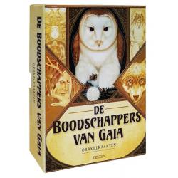 Reis van de ziel Willem GlaudemansBoeken/folders9789020210736