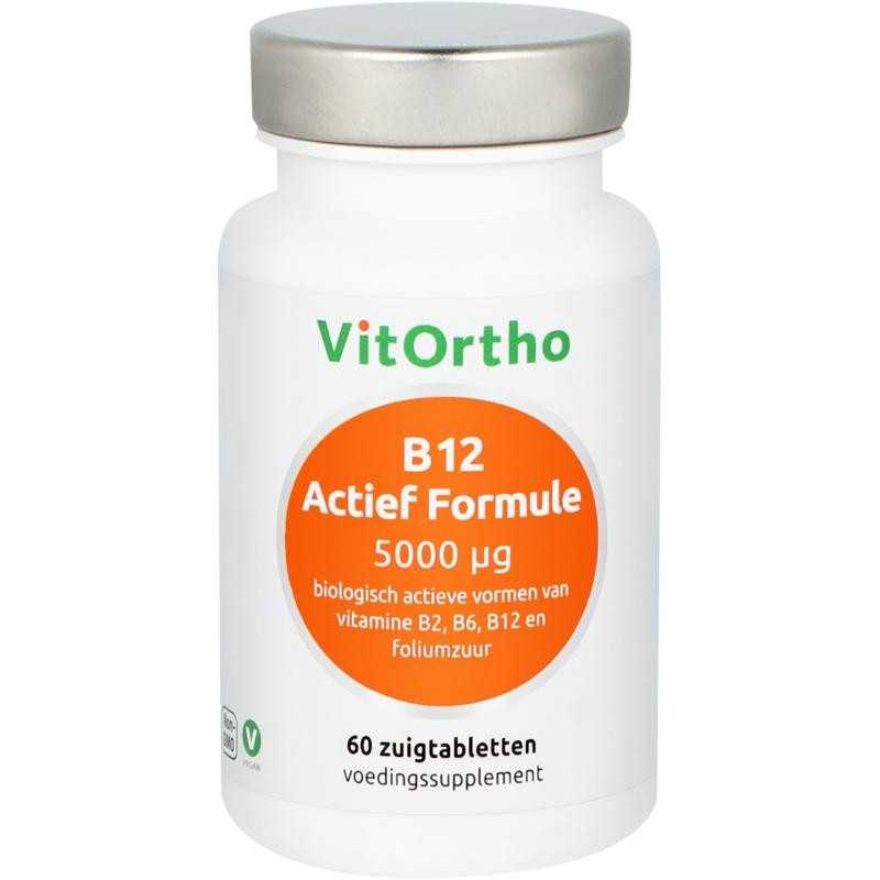 B12 actief formule 5000 mcgOverig vitaminen/mineralen8717056140230