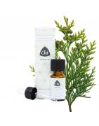 Thuja wildEtherische oliën/aromatherapie8714243022348