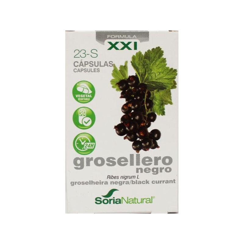 23-S Ribes nigrum XXIFytotherapie8422947282424