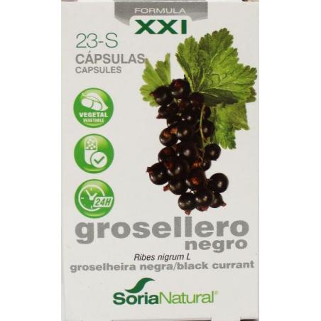 23-S Ribes nigrum XXIFytotherapie8422947282424