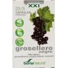 23-S Ribes nigrum XXIFytotherapie8422947282424