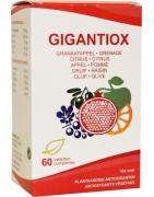 GigantioxOverig gezondheidsproducten5425012764644