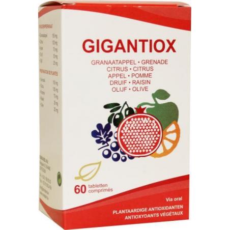 GigantioxOverig gezondheidsproducten5425012764644