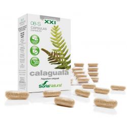 Astragalus complexFytotherapie8714931001792