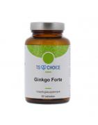 Ginkgo forteFytotherapie8713286021004