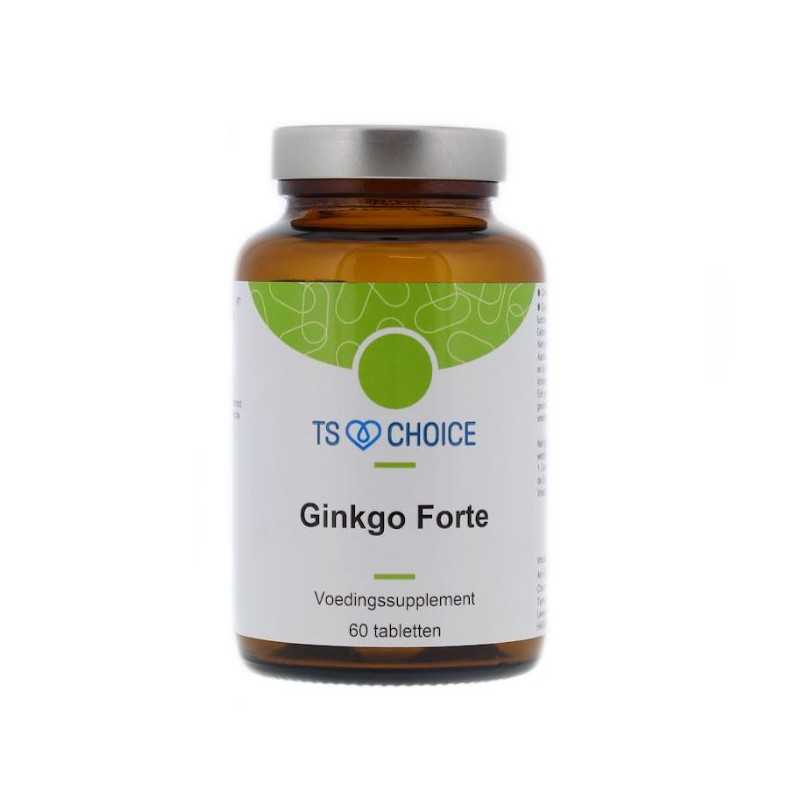 Ginkgo forteFytotherapie8713286021004