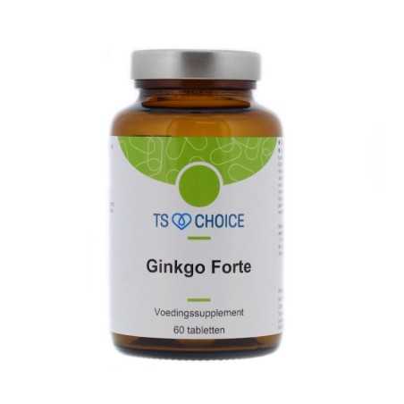 Ginkgo forteFytotherapie8713286021004