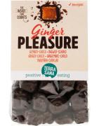 Ginger pleasure choco bioSnoepgoed8713576001044