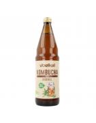 Kombucha bioOverig reform/levensmiddelen4015533028724