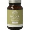 CBD olie 15mgOverig gezondheidsproducten8717677966332