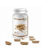 Ashwagandha CT 400 mgOverig gezondheidsproducten5425012765191