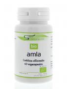 Amla bioAyurveda8717496088901