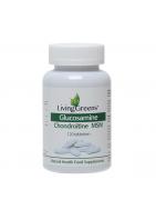 Glucosamine chondroitine MSMOverig vitaminen/mineralen8718347313029