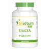 Silicium 250mgOverig gezondheidsproducten8718421582396