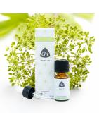 Engelwortel CO2 eko bioEtherische oliën/aromatherapie8714243052703