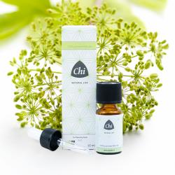 Gember bioEtherische oliën/aromatherapie3486330030875