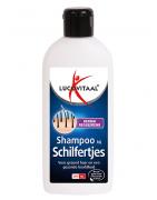 Shampoo schilferShampoo8713713023991