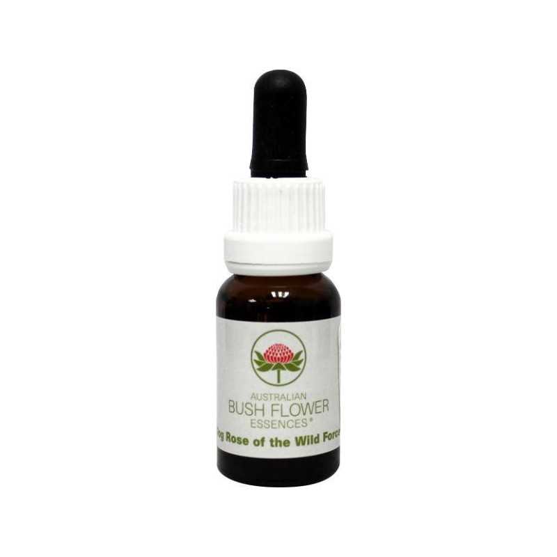 Dog rose of the wild forcesEtherische oliën/aromatherapie9326922000715