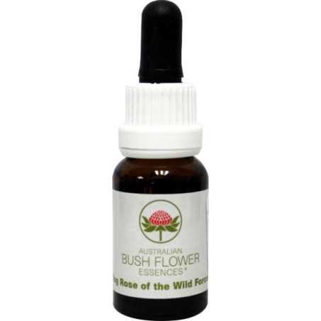 Dog rose of the wild forcesEtherische oliën/aromatherapie9326922000715