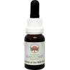 Dog rose of the wild forcesEtherische oliën/aromatherapie9326922000715