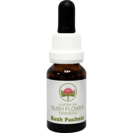 Bush fuchsiaEtherische oliën/aromatherapie9326922000647