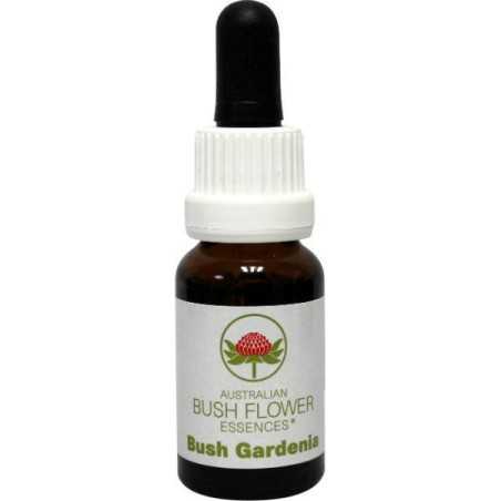 Bush gardeniaEtherische oliën/aromatherapie9326922000654