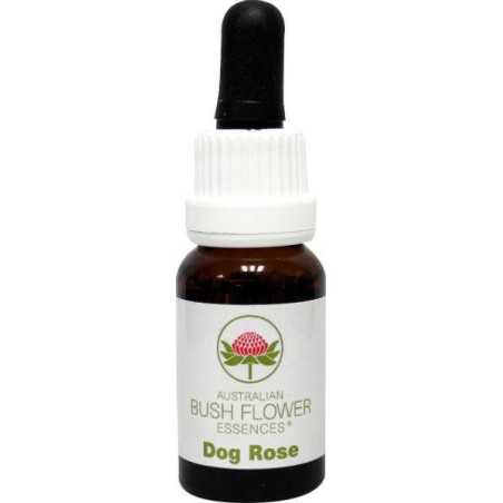 Dog roseEtherische oliën/aromatherapie9326922000708