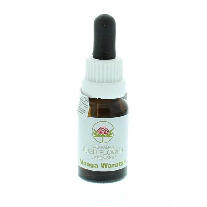 Monga waratahEtherische oliën/aromatherapie9326922000906