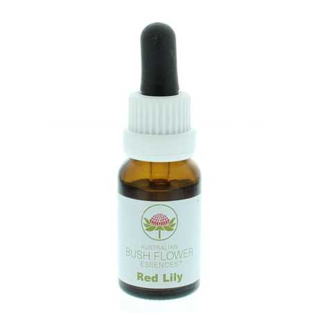 Red lilyEtherische oliën/aromatherapie9326922001019