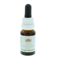 Zwarte kummel olie koudgeperstEtherische oliën/aromatherapie8713589002045