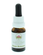 Silver princessEtherische oliën/aromatherapie9326922001057