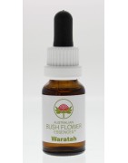 WaratahEtherische oliën/aromatherapie9326922001170