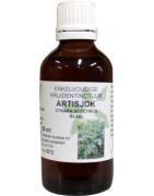 Cynara scolymus/artisjok tinctuur bioFytotherapie8713589007460