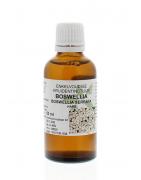 Boswellia serrata / boswellia tinctuurFytotherapie8713589004896