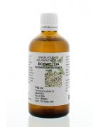 Boswellia serrata / boswellia tinctuurFytotherapie8713589004964