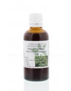 Houttuynia cordata herb tinctuurFytotherapie8713589005442