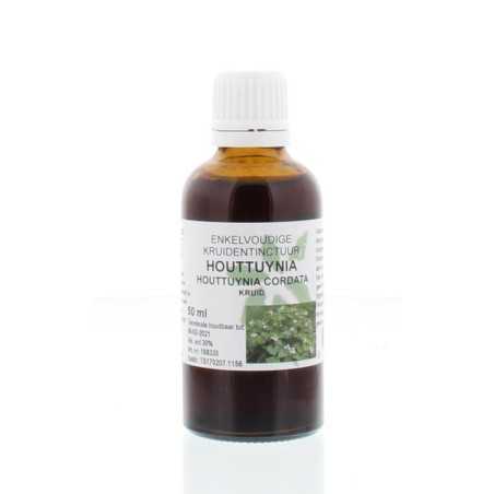 Houttuynia cordata herb tinctuurFytotherapie8713589005442