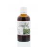 Houttuynia cordata herb tinctuurFytotherapie8713589005442