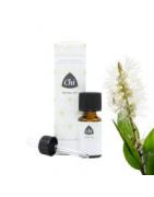 Kajeput wildEtherische oliën/aromatherapie8714243016149