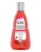 Kleurbehoud & verzorging shampooShampoo4072600221563