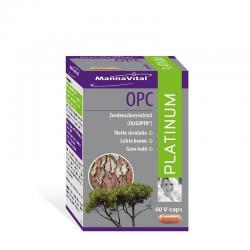 Moringa oleifera heelblad 500mgOverig gezondheidsproducten8718164783678