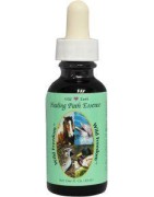 Wild freedomEtherische oliën/aromatherapie8717624995064