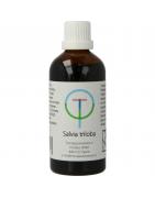 Salvia trilobaFytotherapie8718247680436