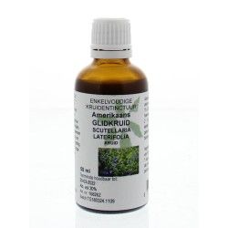 Lamium album phytoFytotherapie8717473048522