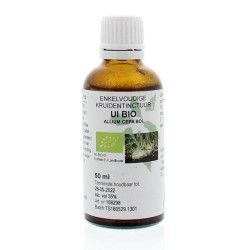 Glechoma hederacea / hondsdraf tinctuur bioFytotherapie8713589058097