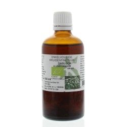 Ilex aquifolium phytoFytotherapie8717473042933